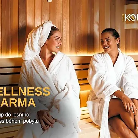 Kouty Hotel Ledeč nad Sázavou